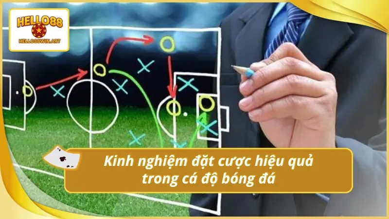 Những mẹo chơi cá độ bóng đá online Hello88