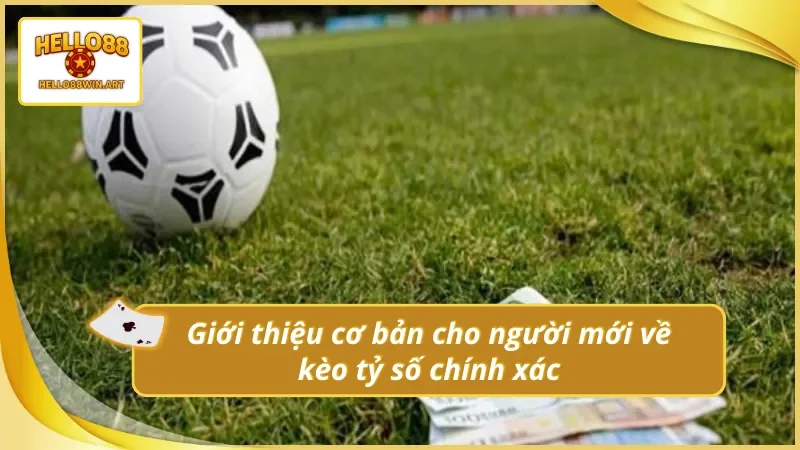 Hiểu về kèo tỷ số chính xác Hello88 cho người nhập môn